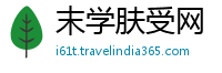 末学肤受网